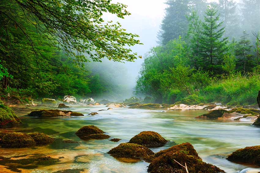 Spencer Tn Homes For Sale